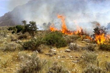 مهار آتش سوزی در منطقه دیزمار ارسباران / تلاش ۵ ساعته نیروها برای خاموش کردن آتش سوزی