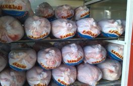 آغاز توزیع مرغ منجمد ۱۵ هزار تومانی در آذربایجان شرقی