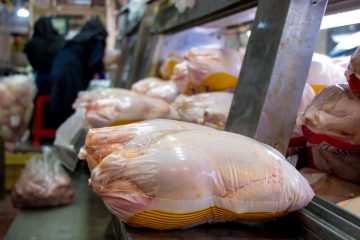 مرغ در آذربایجان شرقی بر اساس نرخ ستاد تنظیم بازار عرضه می شود