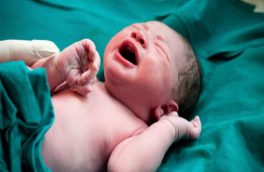 تولد نوزاد عجول تبریزی داخل آمبولانس اورژانس