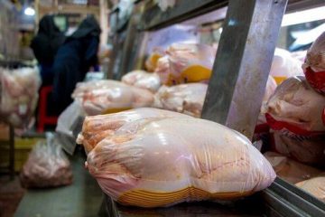 عرضه‌ ۸۰۰ تن مرغ منجمد به بازار آذربایجان شرقی طی ۱۰ روز آینده