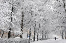 بارش برف همراه با کاهش نسبی دما در آذربایجان شرقی