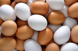 تثبیت قیمت تخم مرغ در آذربایجان شرقی از هفته آینده