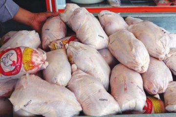 کاهش کشتار مرغ در آذربایجان ‌شرقی به یک سوم