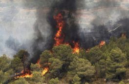 کاهش آتش سوزی در جنگلها و مراتع خداآفرین