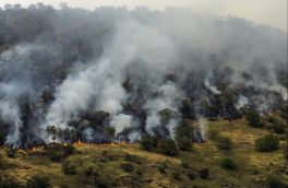 هشدار به احتمال آتش ‌سوزی در مراتع و جنگل‌های آذربایجان شرقی