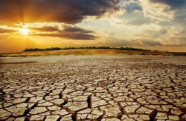 کاهش ۵۲ درصدی بارش ‌ها/ ایران درگیر خشکسالی بی ‌سابقه در ۴۰ سال گذشته