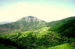 کمبود آب، خطری که جنگل های آذربایجان شرقی را تهدید می کند