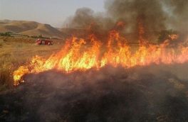 آتش سوزی در منطقه پیرداود شهرستان ورزقان مهار شد