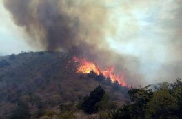 بالگرد در تخلیه آب بسکت خطا کرد/ کنترل آتش‌ سوزی در جنگل ‌های ارسباران با کمک باران