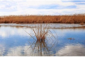 آخرین وضعیت تالاب‌ های آذربایجان شرقی در فصل خشکسالی