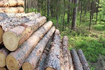متخلفان قطع درختان در منطقه حفاظت‌ شده خداآفرین دستگیر شدند