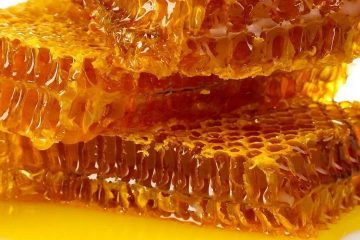 تولید بیش از ۴۵۰ تن عسل در شهرستان اهر