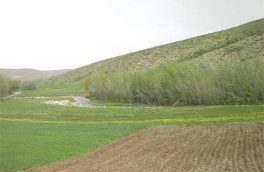۸۵ درصد اراضی ملی و منابع طبیعی آذربایجان شرقی سنددار شد