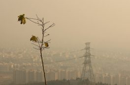۹۹ درصد مردم جهان هوای بی کیفیت تنفس می ‌کنند