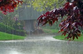 تشدید رگبار باران و رعد و برق و وزش باد در منطقه ارسباران