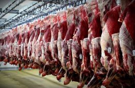 مدیر کل دامپزشکی آذربایجان شرقی نسبت به خرید گوشت خارج از سیستم کشتارگاهی هشدار داد
