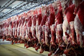 مدیر کل دامپزشکی آذربایجان شرقی نسبت به خرید گوشت خارج از سیستم کشتارگاهی هشدار داد