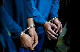 ۲۱ نفر از اراذل و اوباش در تبریز دستگیر شدند
