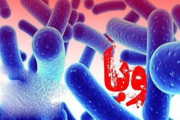 تایید ۶۳ مورد ابتلا به وبا در ایران/ بیش از ۷۵ درصد مبتلایان مردان هستند