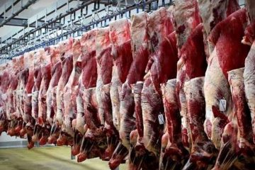 حذف ۴۰۳ تن گوشت غیربهداشتی در آذربایجان شرقی