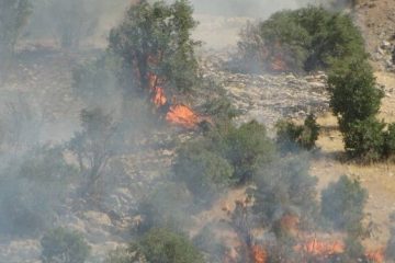 مهار میدانی آتش در منطقه حفاظت شده ارسباران