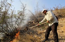 هشت هکتار از جنگلها و مراتع در منطقه ارسباران در آتش سوخت/ دستگیری ۲ نفر در پی احتمال عمدی بودن آتش‌ سوزی