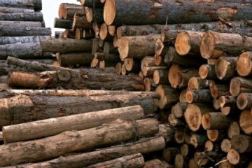 ۱۷ تن چوب قاچاق در تبریز کشف و توقیف شد