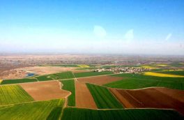 اراضی کشاورزی آذربایجان شرقی تا پایان دولت سیزدهم سنددار می‌شوند