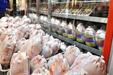 ۴۰۰ تن مرغ منجمد در آذربایجان شرقی آماده توزیع است