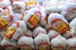توزیع یک هزار و ۲۰۰ تن مرغ منجمد در آذربایجان شرقی