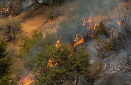 اتخاذ تدابیر لازم برای پیشگیری از آتش سوزی در جنگل های ارسباران