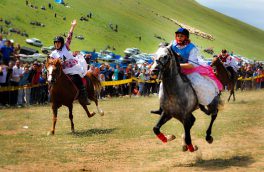 برگزاری اولین جشنواره شوسواره اسب در منطقه‌ ارسباران