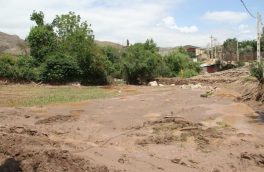 خسارت سیل به ۵۰ کیلومتر راه و ۹ پل در اهر