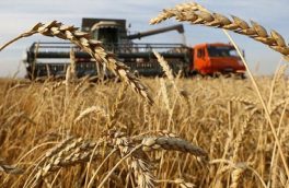 قیمت خرید تضمینی گندم در آذربایجان شرقی ۱۵ هزار تومان تعیین شد