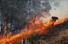 هشدار خطر آتش سوزی جنگل ها و مراتع آذربایجان‌ شرقی با افزایش دمای هوا