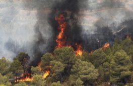 آتش سوزی در جنگل های ارسباران پایان یافت 