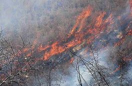 خسارت ۴۰ هکتاری مراتع و جنگل های ارسباران در آتش سوزی