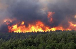 اطلس آتش سوزی جنگل های کشور باید تهیه شود