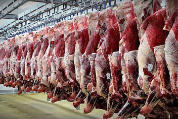 افزایش تولید گوشت قرمز در کشور/ واردات تا ثبات بازار ادامه دارد