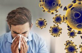 احتمال بروز پیک آنفلوآنزا از نیمه آبان / گردش ۲۰ زیرسویه کرونا در کشور