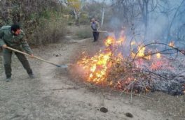 مهار آتش در جنگل های دیزمار شهرستان خداآفرین