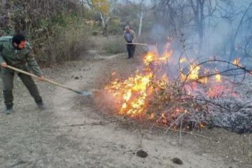 مهار آتش در جنگل های دیزمار شهرستان خداآفرین