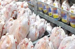 آغاز توزیع گوشت قرمز و مرغ منجمد با قیمت مصوب در آذربایجان شرقی
