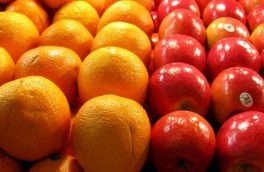 آغاز توزیع میوه نوروز ۱۴۰۳ در سراسر استان آذربایجان شرقی