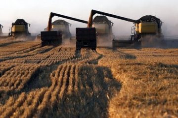 رتبه نخست آذربایجان شرقی در کشاورزی قراردادی در کشور