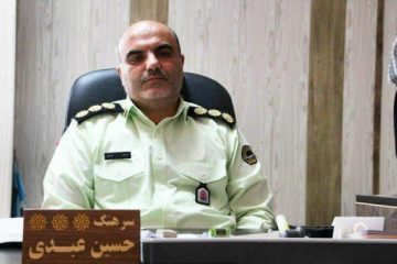 اراذل و اوباش سابقه دار در اهر دستگیر شدند