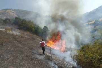 تمرین مهار آتش در جنگل ها و مراتع شهرستان خداآفرین